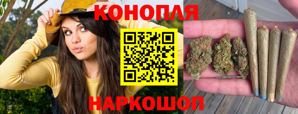 Каннабис план Долгопрудный
